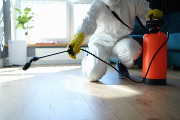 Reliable Sewage Cleanup contractor in Mount Pleasant, SC by Trauma Clean Pros